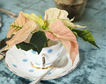 Kersttafel Decoratie Trend 'Romantiek & Pastel' - Landelijk wonen Kersttafel Dekken met Verweerde Oude Pastel Kleuren LEES MEER... (Foto Stars for Europe  op Kerststerdag.nl)